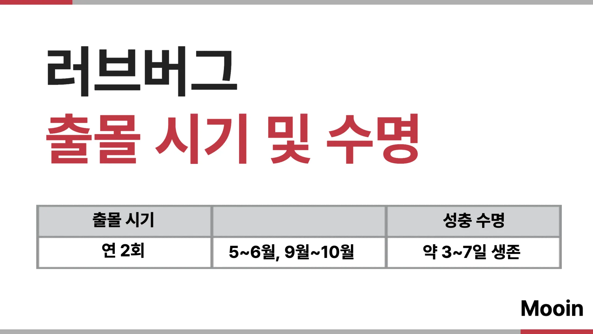 러브버그의 출몰 시기와 수명은?