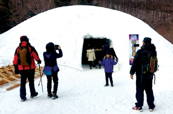 태백산 눈축제 대형 이글루 카페