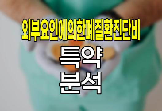 메리츠 숨편한호흡기질환보험 외부요인에의한폐질환진단비, 환경성 폐질환 보장의 혁신