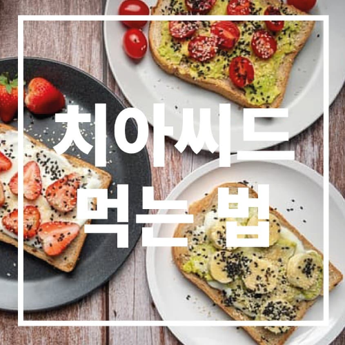 치아씨드 먹는 법