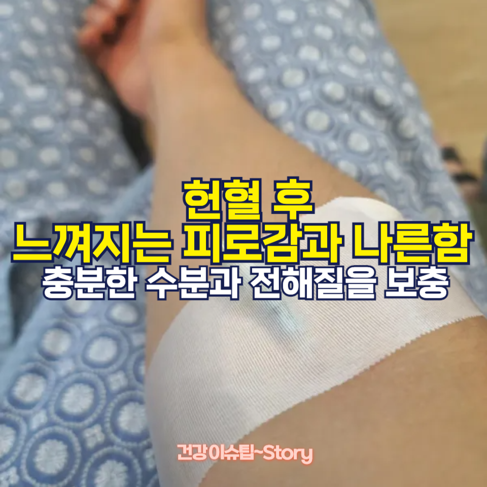 헌혈 후 회복에 좋은 음식