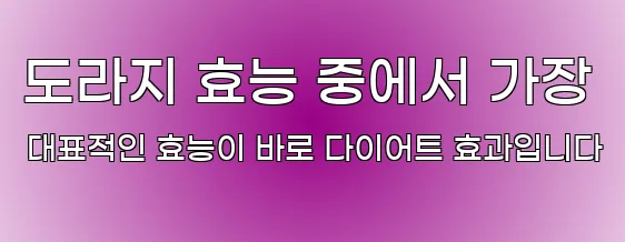 도라지 효능 중에서 가장 대표적인 효능이 바로 다이어트 효과입니다