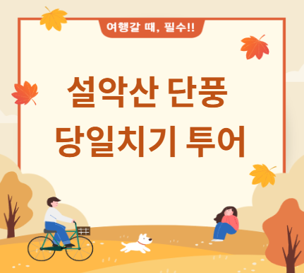 설악산 단풍 당일치기