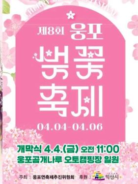 익산 벚꽃 