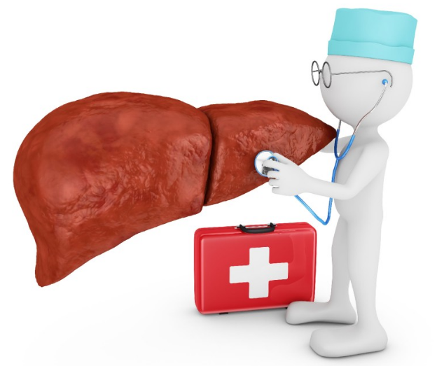 간수치가 높은 이유