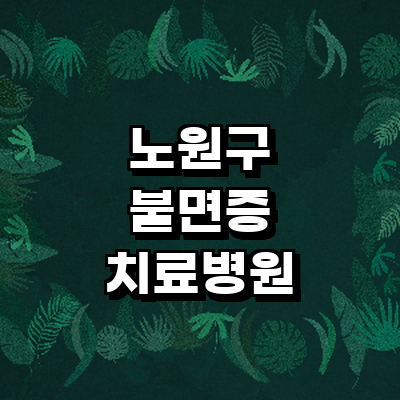 서울 노원구 불면증