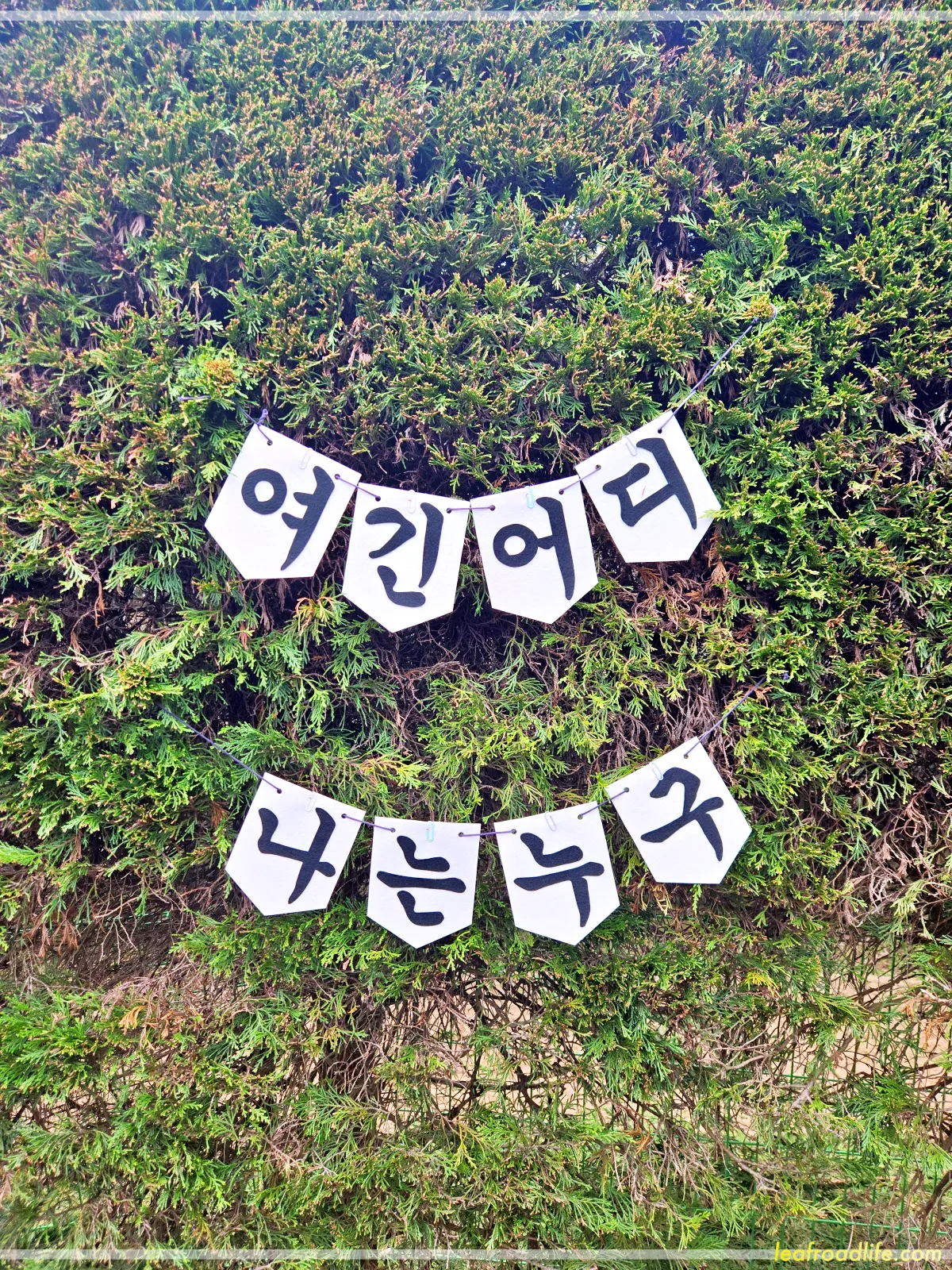 제주-김녕-미로-공원-현수막-여긴어디-나는누구