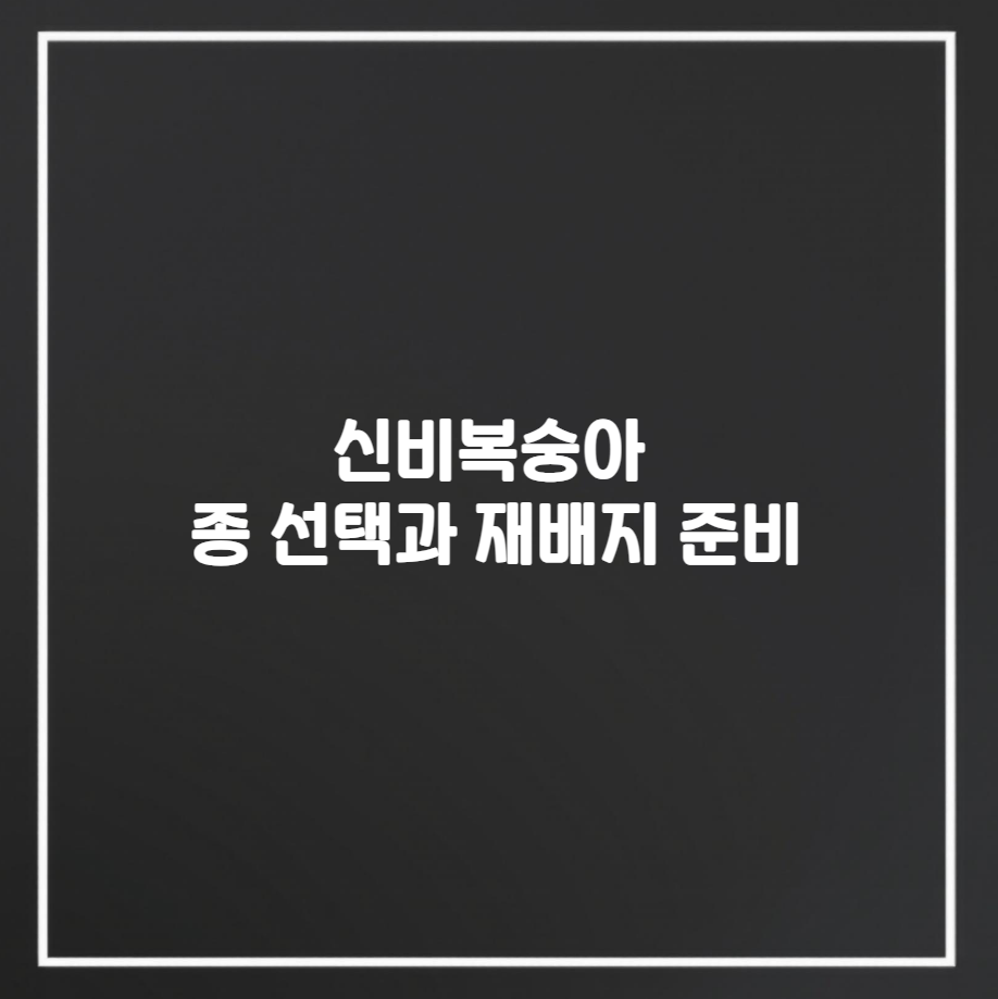 신비복숭아 종 선택과 재배지 준비