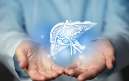 간수치가 높으면 나타나는 증상&amp;#44; 올라가는 이유&amp;#44; 간수치 정상범위 총정리 (2024ver)