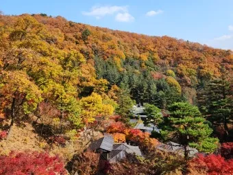 화담숲 단풍 절정시기 예약 방법까지 정리_21