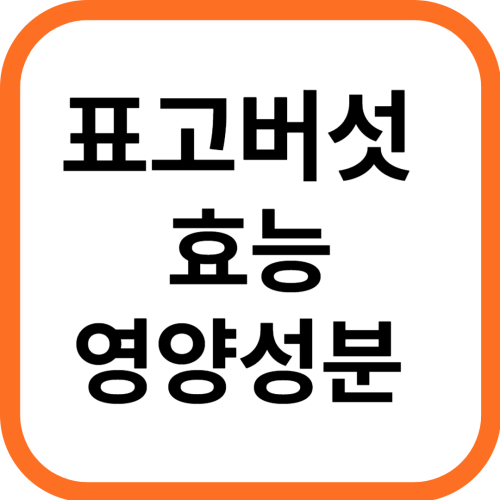 표고버섯 효능과 영양성분