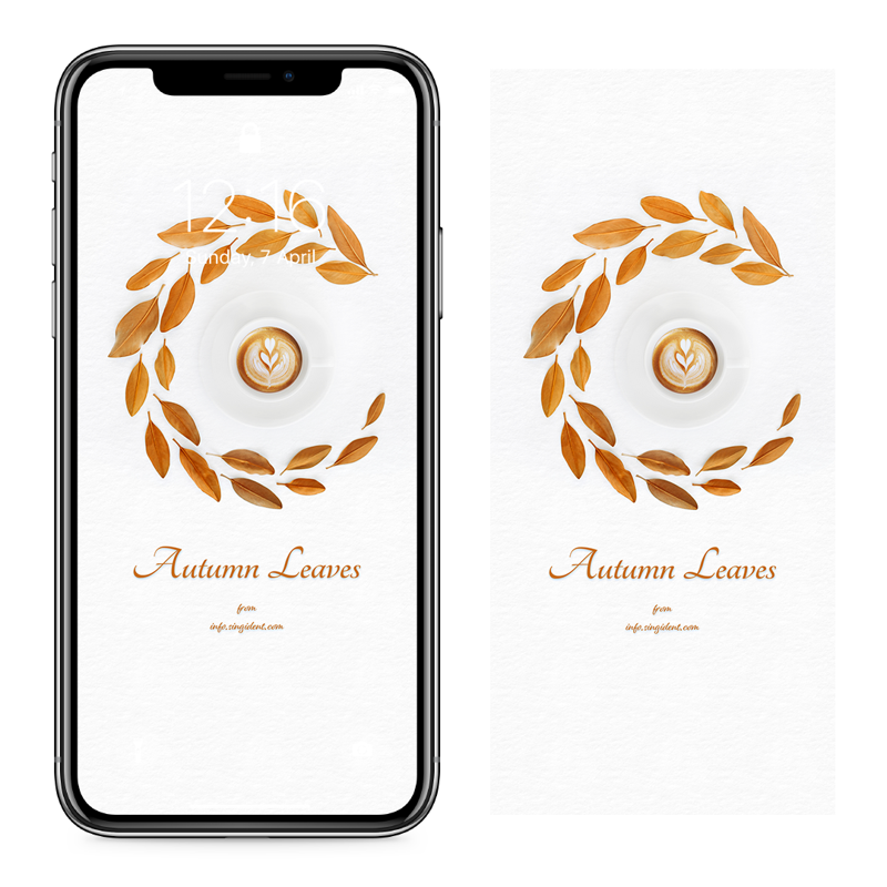05 나뭇잎과 커피 C - Autumn Leaves 아이폰가을배경화면