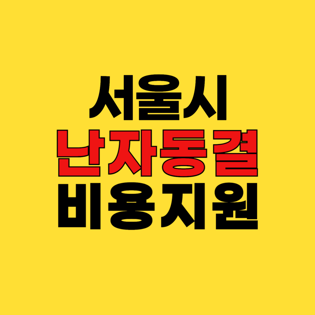 서울시 난자동결 비용 지원 2025 총정리: 신청자격부터 금액까지 완벽 안내