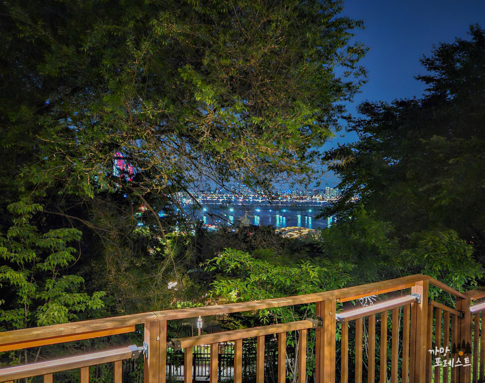 용양봉저정공원 야경