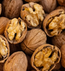 단백질 많은 음식 식물성 동물성