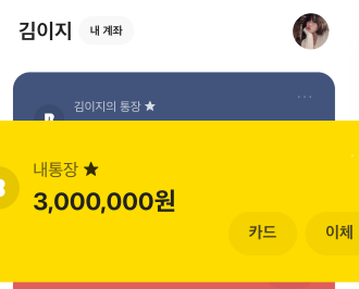 카카오 비상금대출