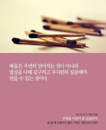 배움의 좋은 글 명언 글귀 모음 배움에 관한 명언으로_12