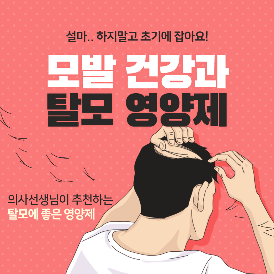 모발 건강과 탈모 영양제와 모발건강