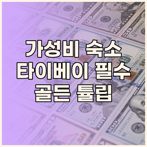 골든 튤립 아에스테틱스.. 가성비 갑