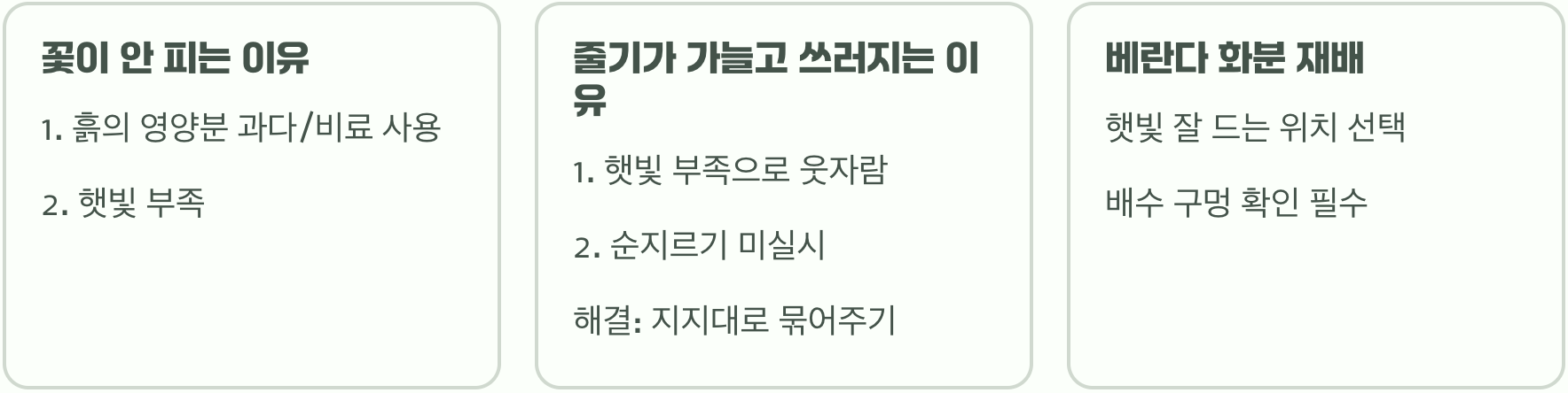 코스모스 씨앗부터 꽃까지 키우기 A to Z (파종, 물주기, 관리법 총정리)