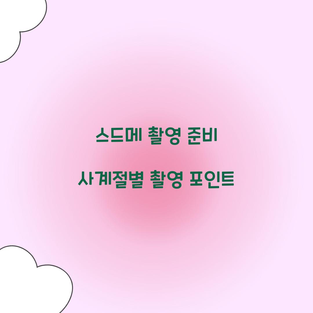 스드메 촬영 준비 사계절별 촬영 포인트 