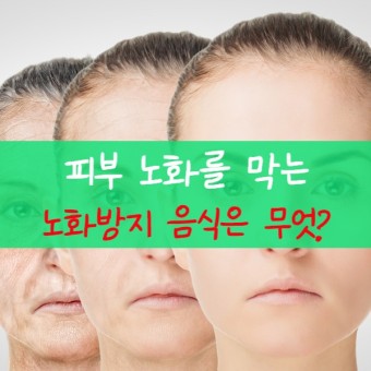 노화방지 음식