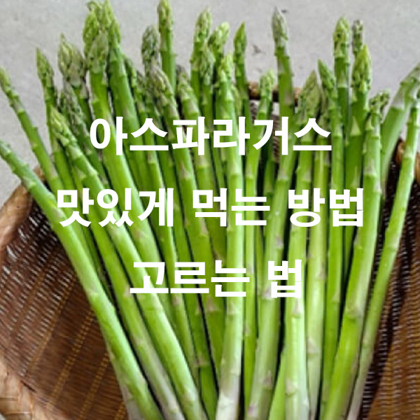 아스파라거스 맛있게 먹는 방법 고르는 법