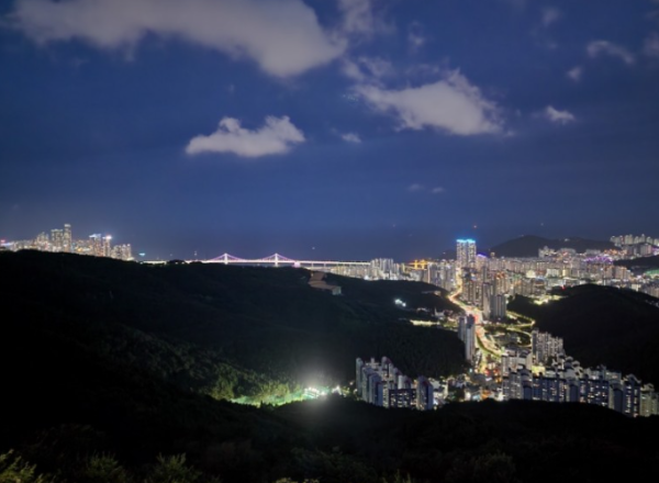봄꽃 여행지