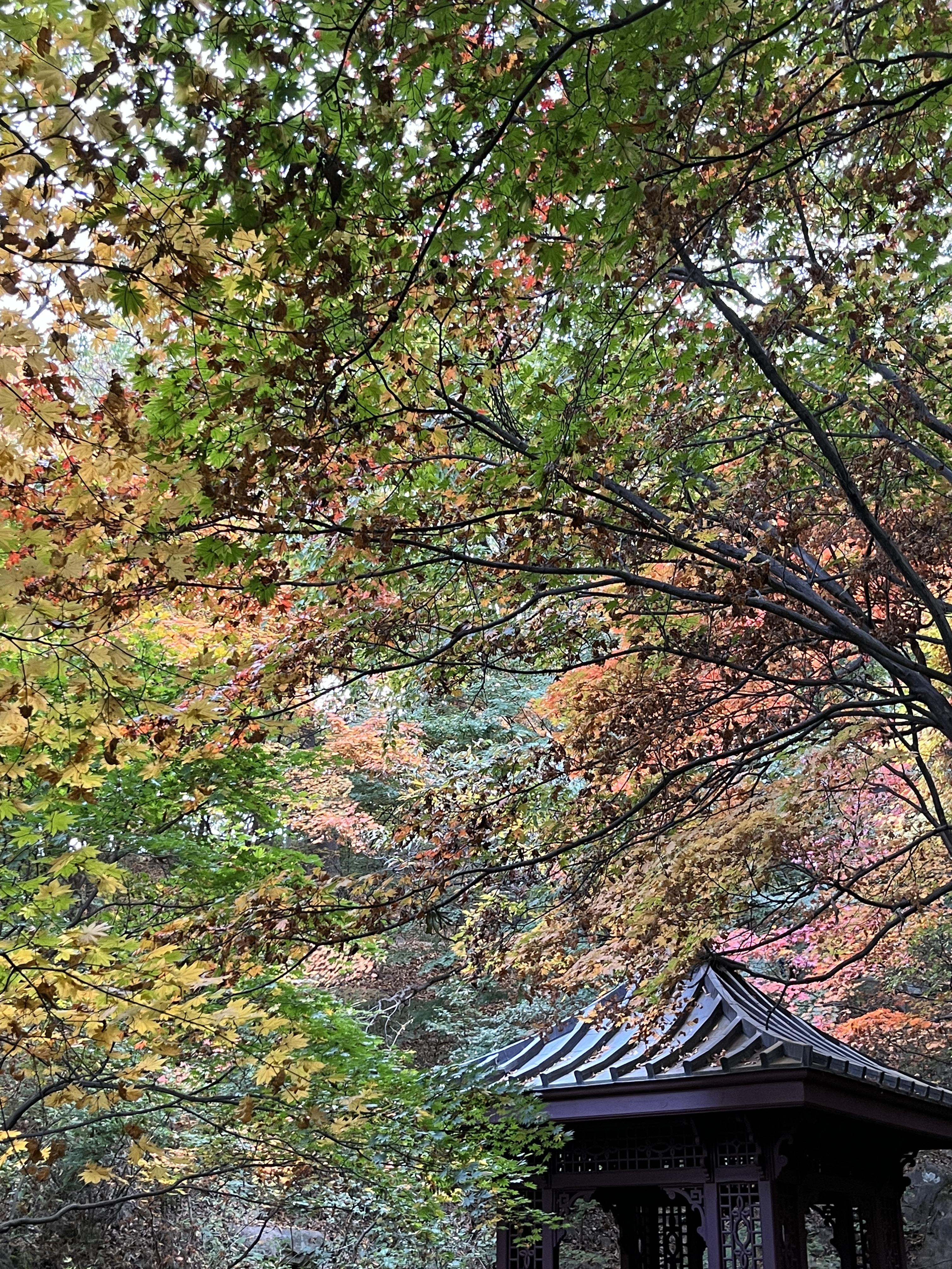 석파정