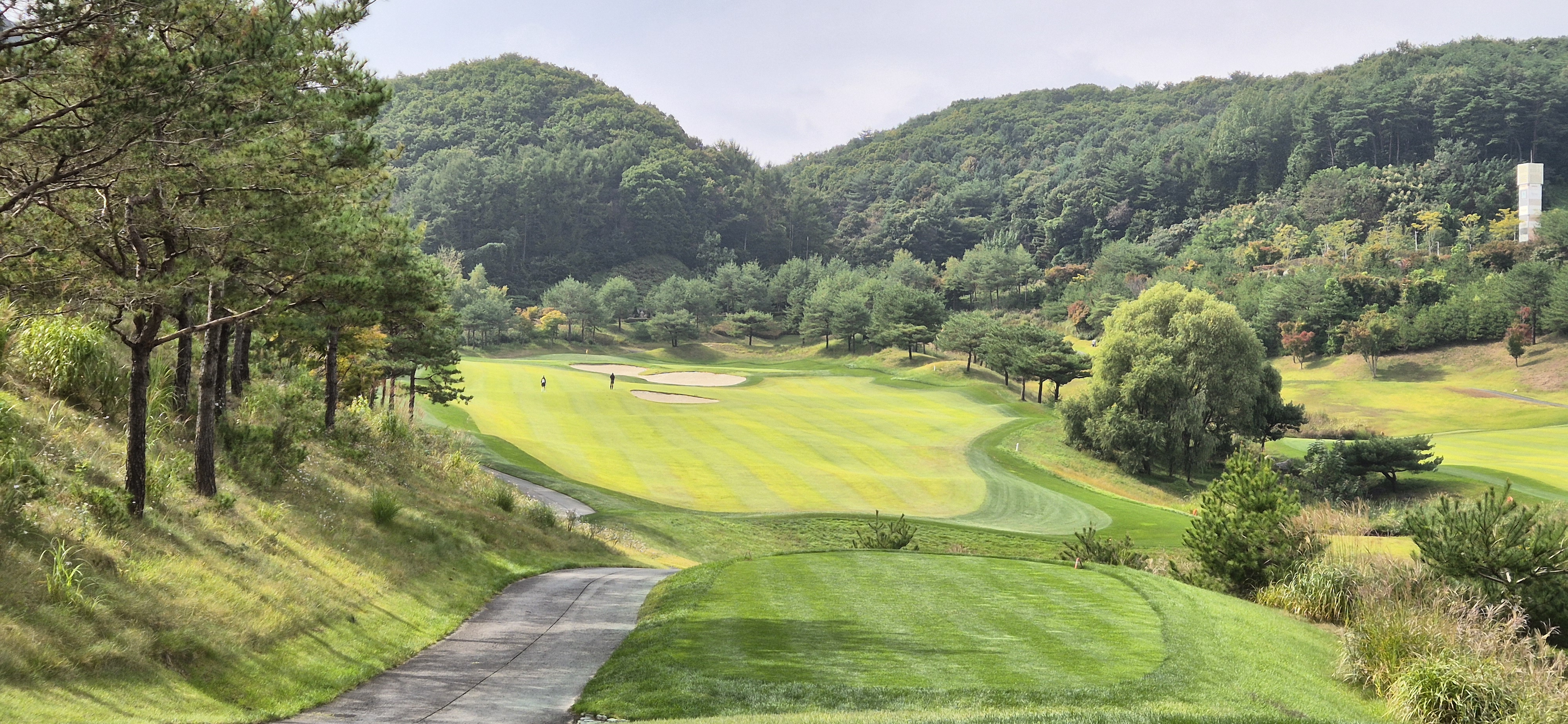 소노펠리체cc이스트