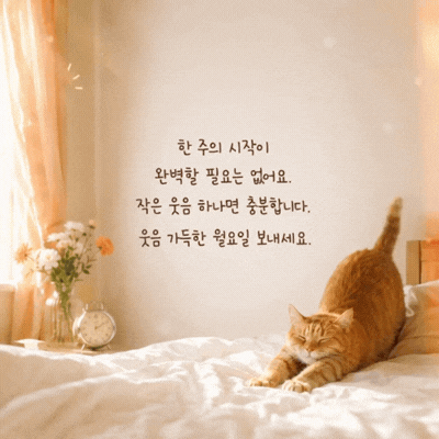 움직이는 월요일 아침 인사말 이미지 움짤 글귀 모음