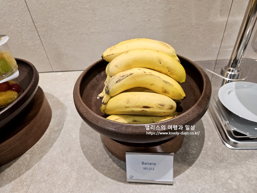 김해공항 국제선 대한항공(KAL) 라운지 운영시간 입장조건 메뉴 후기