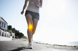 글루코사민 효능