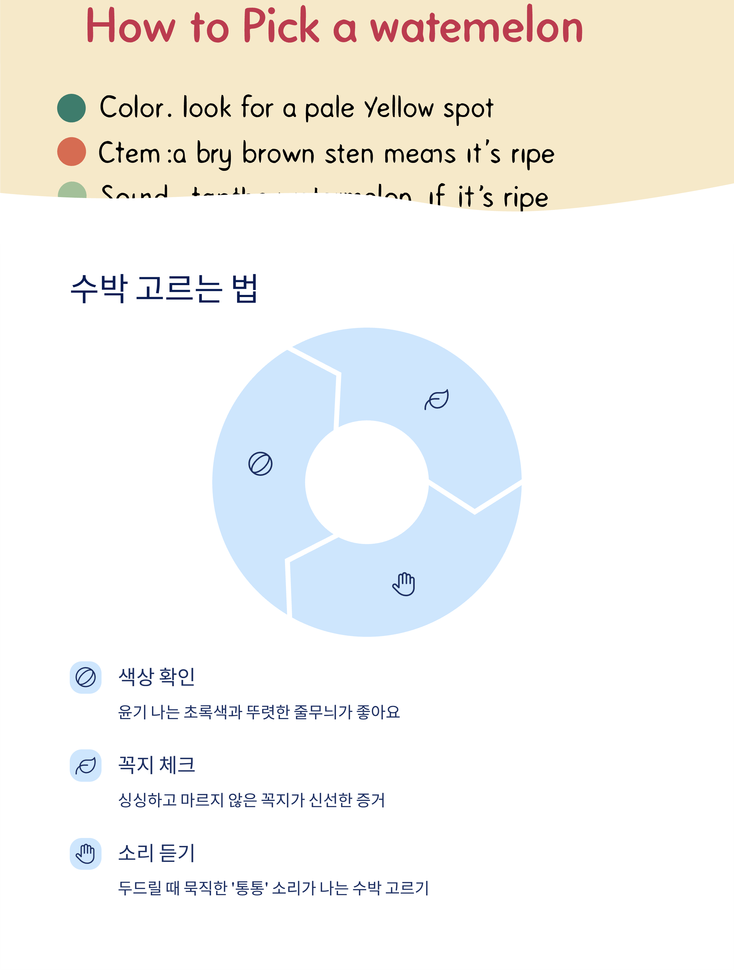 당도 높은 수박 고르는 법