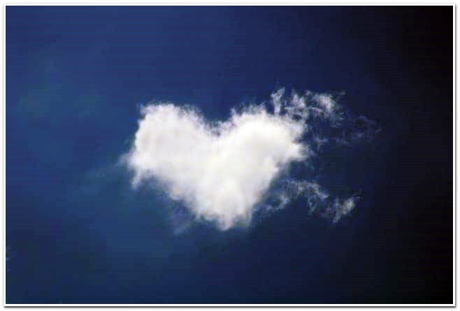 고용보험 실업 급여 신청자격 알아보기