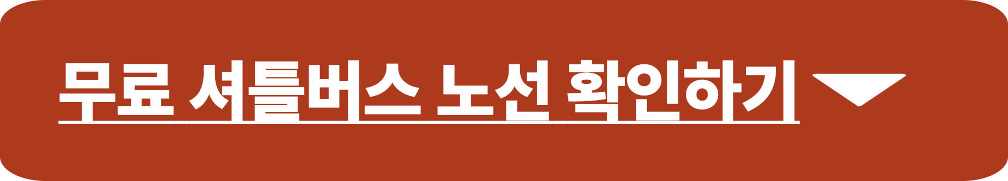 무안 연꽃축제