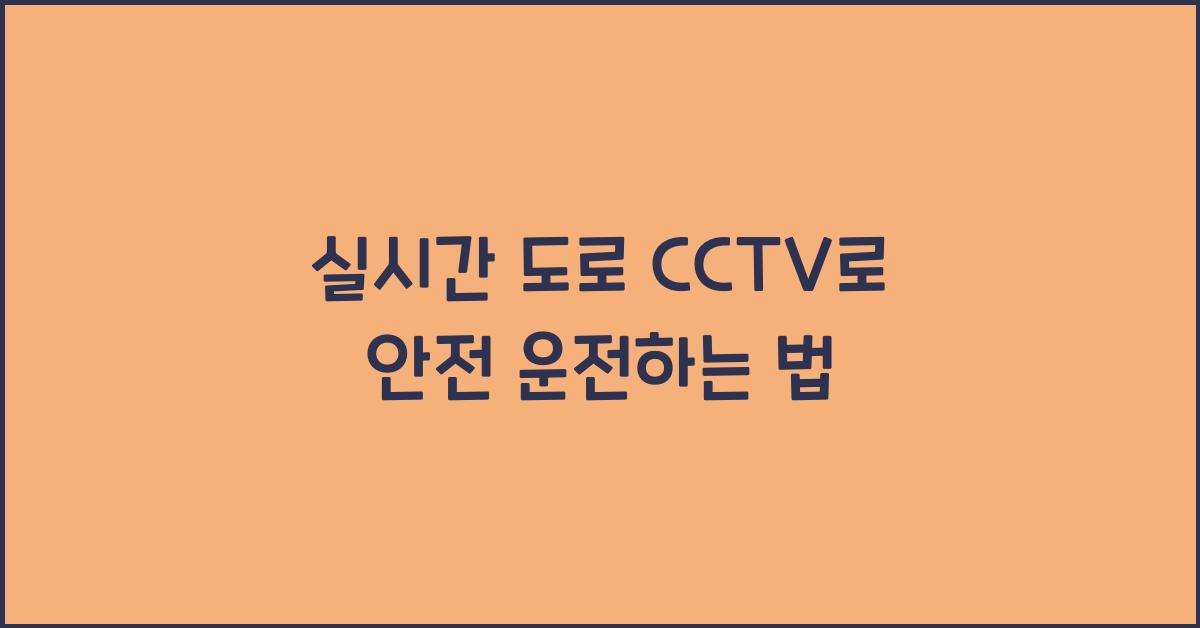 실시간 도로 cctv