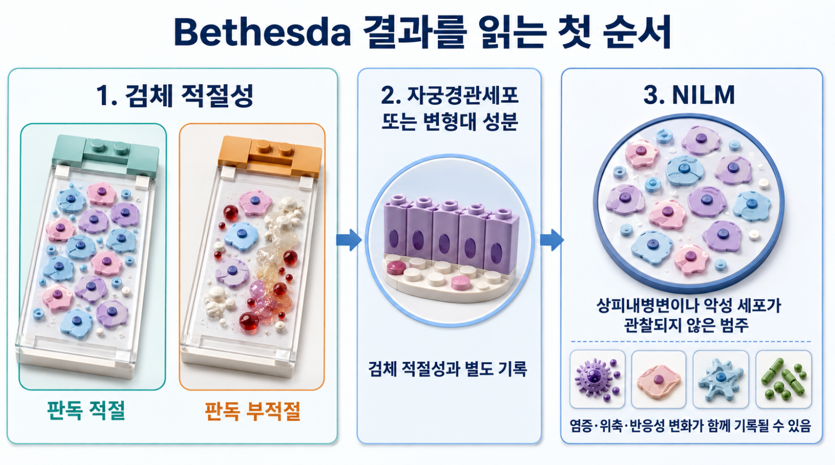 Bethesda 결과에서 검체 적절성, 자궁경관세포 또는 변형대 성분, NILM과 추가 소견을 읽는 순서