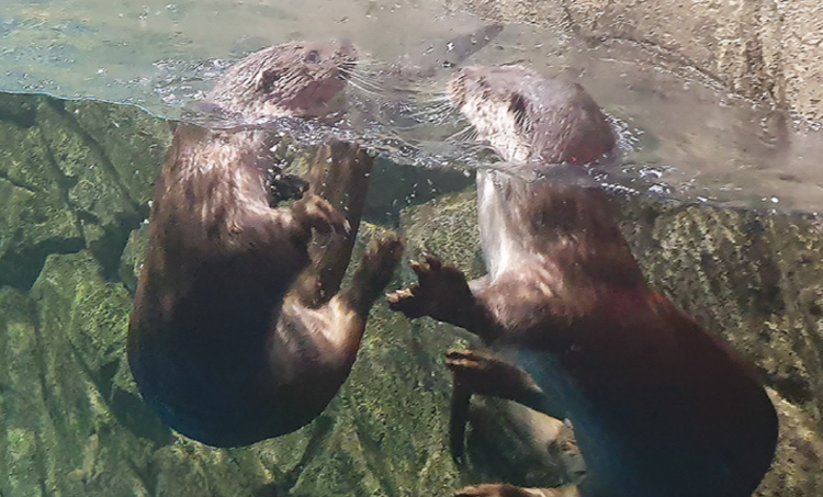 울진 아쿠아리움