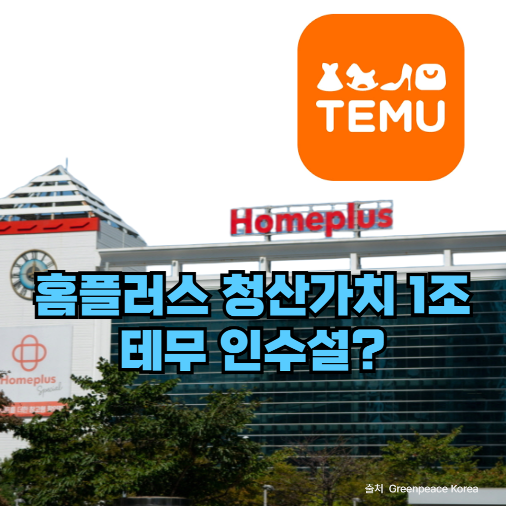 홈플러스 외부 건물 이미지와 테무 로고가 함께 나오는 사진