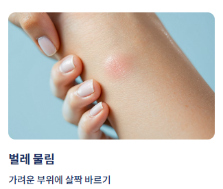 벌레 물림