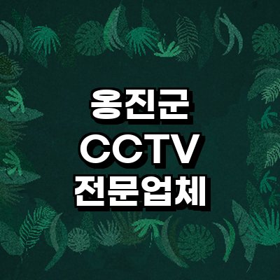 인천 옹진군 cctv