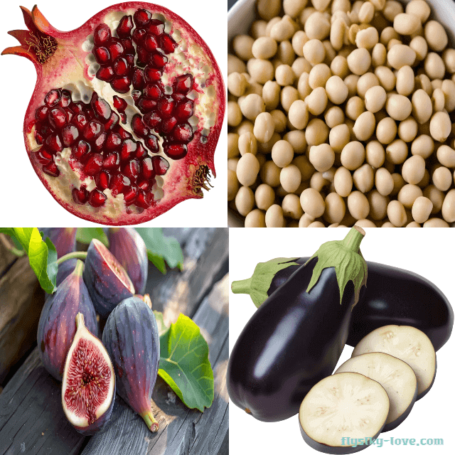 에스트로겐이 풍부한 석류, 콩, 무화과, 가지