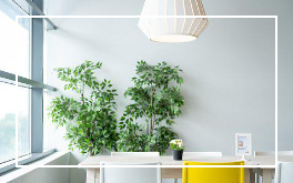 대상포진 초기증상