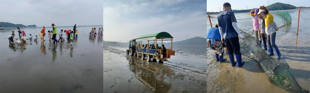 생생정보통 오늘방송(3월 26일) 해솔길캠핑장,유리섬박물관,두서어촌갯벌체험마을,LH한국토지주택공사유스타트