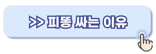 피똥싸는이유