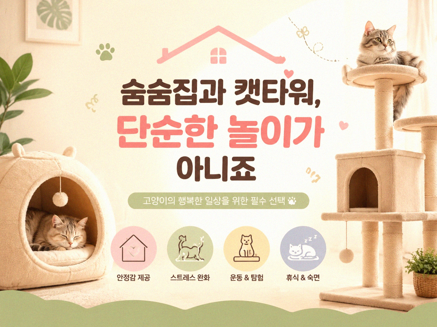 우리집 반려동물 공간, 조금 바꿨을 뿐인데 정말 달라지나요?
