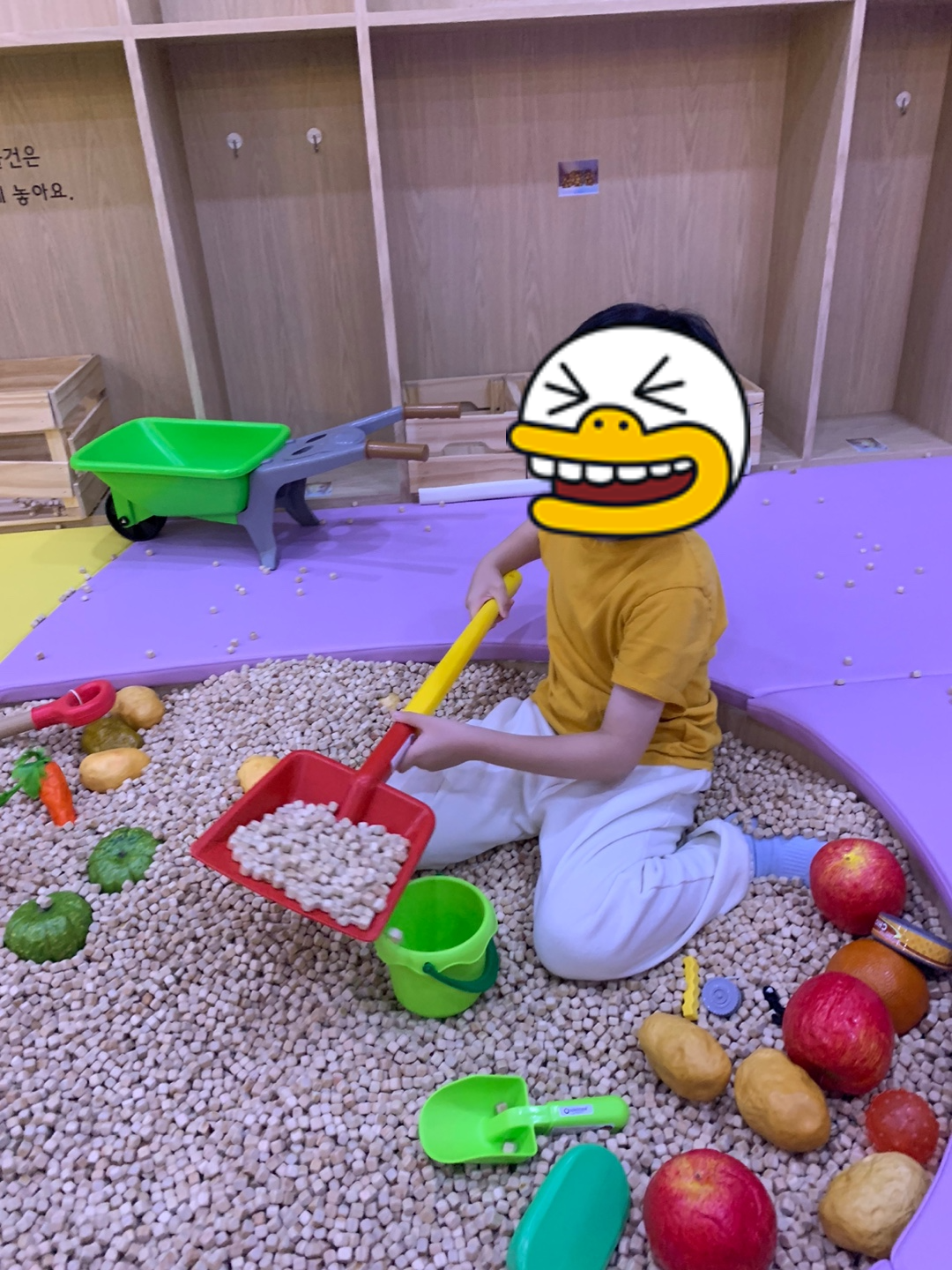 남양주 놀자람 해님별님 편백나무놀이공간