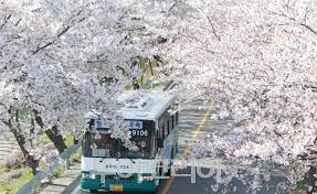 제22회 함양 백운산 벚꽃축제 기본일정과 프로그램 소개