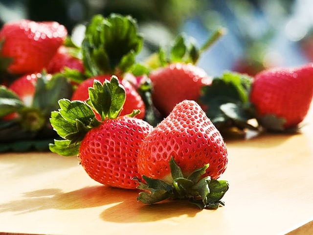 꽃가루 알레르기에 좋은 음식과 나쁜 음식